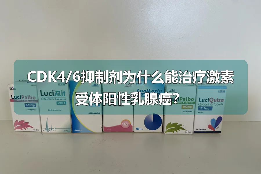 CDK4/6抑制剂为什么能治疗激素受体阳性乳腺癌？